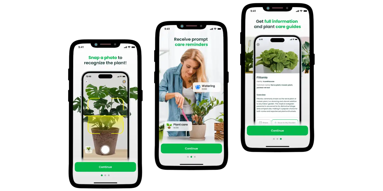 Plant Identifier app plant on the photo